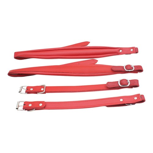 Organs straps accordion strap - organs,