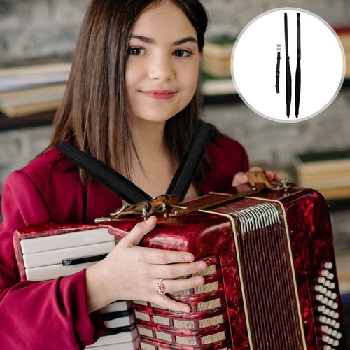 Assorted color accordion - assorted,