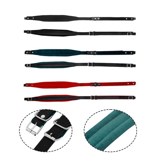 Accordion strap set - accordion,
