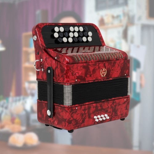 Black leather accordion bellow - accordion,