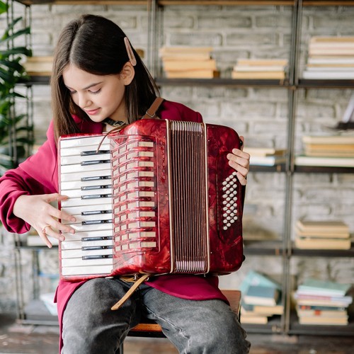 Pcs practical accordion - pcs,